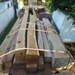 Economista é multado em R$ 6,3 mil por carga de madeira ilegal