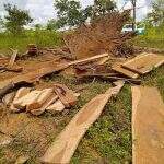 Fazendeiro derruba árvores de grande porte é multado ao fazer 103 estacas