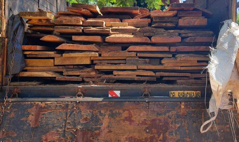 Empresa é multada em R$ 5,7 mil por transporte de madeira ilegal