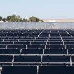 Maior usina fotovoltaica do mundo deve ser construída em cidade de MS