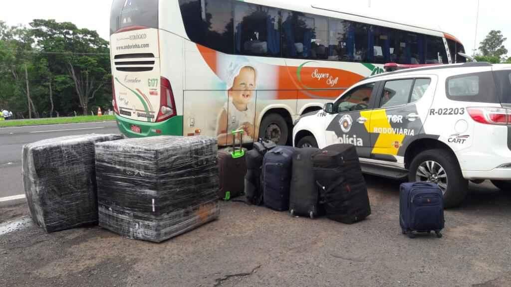 Carregamento apreendido pelos policiais. Foto: Divulgação