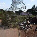 Árvore cai em caminhão com o vento, quebra poste e moradores ficam sem energia