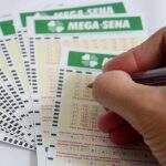 Mega-Sena: 52 apostas de MS foram vencedoras na quadra e prêmios chegam a R$ 6 mil