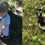 Criança confunde graveto com cobra durante brincadeira com cachorro