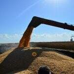 Governo decreta novas regras para exportação de milho no Estado