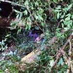 Populares encontram homem morto em meio a matagal e polícia é acionada