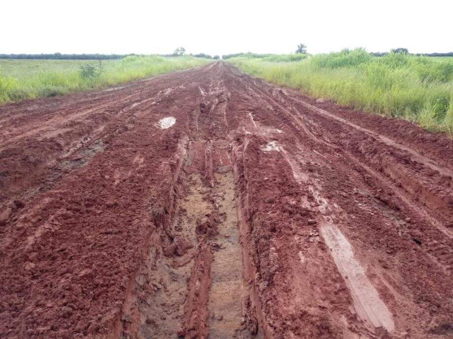 MS-338 não tem asfalto e fica intransitável em épocas de chuva