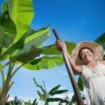 Mais presentes no agronegócio, mulheres deixam posto de ‘ajudante’ e assumem protagonismo em MS