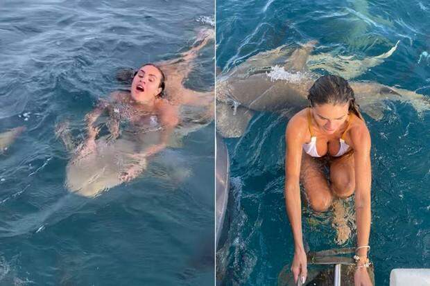 Bailarina do Faustão, Natacha Horana nada com tubarões nas Maldivas