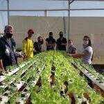 Produção de hortas hidropônica beneficia famílias de baixa renda