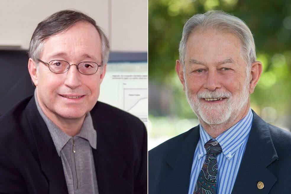 Americanos Paul Milgrom e Robert Wilson ganham prêmio Nobel de economia em 2020