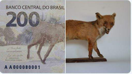 Imagem da cédula de R$ 200, com lobo-guará, é divulgada pelo Banco Central