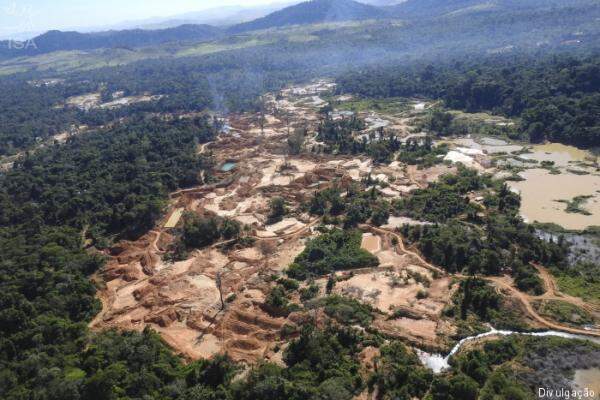 Desmatamento em julho chega a 2.254 km², um terço dos últimos 12 meses, diz Inpe