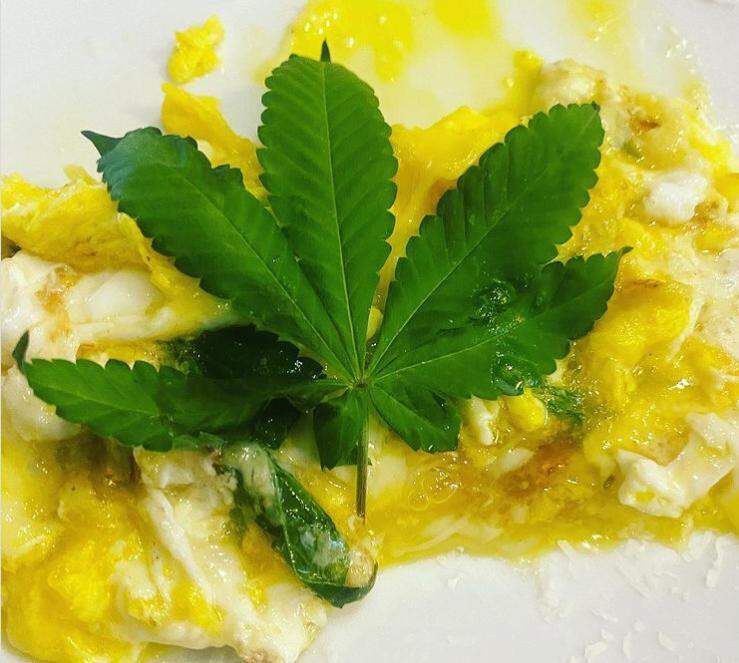 Henrique Fogaça posta foto de omelete de cannabis e levanta polêmica na web