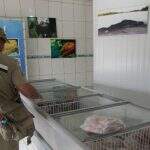 Piracema: fiscalização de peixarias e restaurantes começa nesta segunda em MS