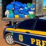 PRF apreende 4,1 toneladas de maconha escondidas em fundo falso de caminhão