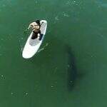 VÍDEO: Orlando Bloom é cercado por tubarão enquanto surfava em Malibu