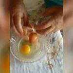 Galinha bota ovo dentro de outro ovo gigante e surpreende criador em Jataí