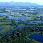 IBGE: Pantanal perdeu 1,6% de área natural em 18 anos, mas é o bioma mais preservado do país