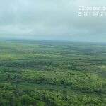 MPF vai ao STF para cobrar regulamentação de norma para preservar Pantanal