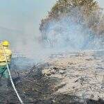 Com novos focos de queimada, mais 10 bombeiros reforçam combate de incêndios no Pantanal