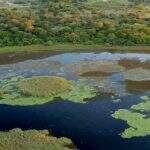 Fazendas no Pantanal serão desapropriadas para regularização de Parque Estadual em MS