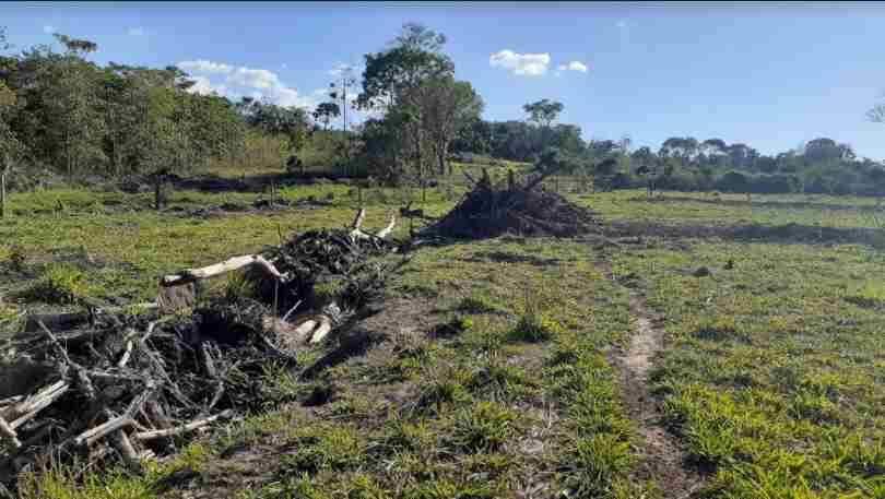 Fazendeiro é multado em R$ 5 mil por desmatamento ilegal em propriedade rural