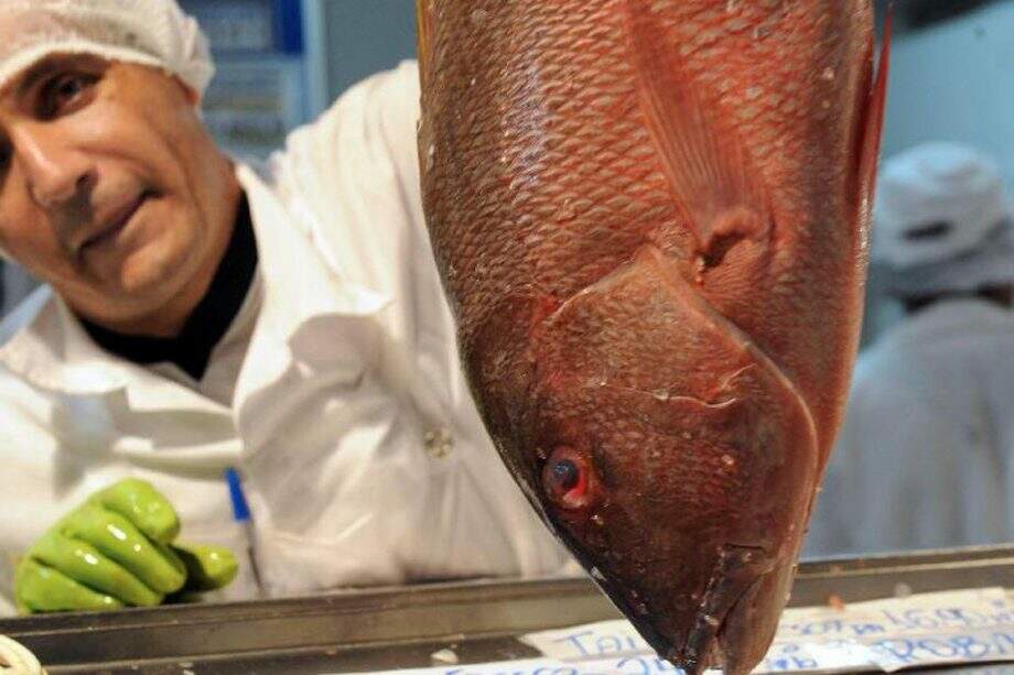 De olho no pescado: Confira dicas básicas na compra de peixes durante a Semana Santa