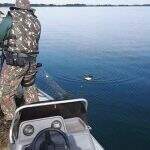 Proibição da pesca por conta da Piracema será em duas datas diferentes nos rios de MS