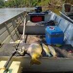 Polícia autua turista por pesca predatória no Rio Aquidauana e apreende pescado