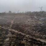 Fazendeira é multada em R$ 56 mil por incêndio que se alastrou pelo Pantanal
