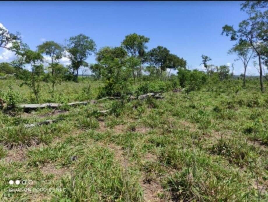 Fazendeiro é multado em R$ 55 mil por desmatamento ilegal em MS