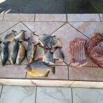 Mineiro é preso em MS com pescado irregular e 12 kg de carne de animal silvestre