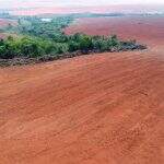 Fazendeiro é multado em R$ 27,5 mil por desmatamento de área protegida em Mundo Novo