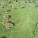 Fazendeiro é multado em R$ 19 mil por pulverizar agrotóxico em pastagem danificando 63 árvores nativas