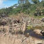 Proprietário rural é multado em R$ 9 mil por desmatamento ilegal