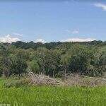 Proprietário rural é multado em R$ 29 mil por desmatamento ilegal de vegetação