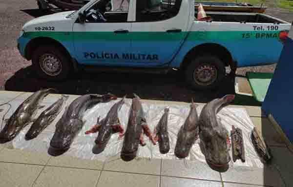 VÍDEO: Pescadores do Paraná são presos com 74 kg de pescado ilegal no Rio Iguatemi em MS