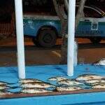 Pescadores são autuados durante fiscalizações da PMA nos rios Paraná e Amambai