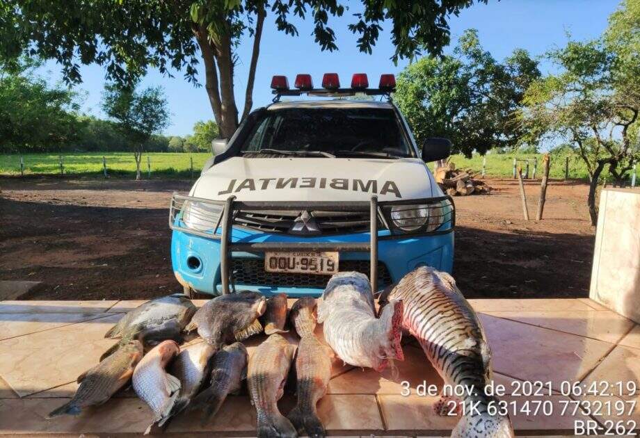 Polícia autua 82 infratores, aplica R$ 80 mil em multas e apreende 426 kg de pescado