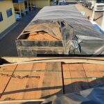 Empresa mato-grossense é multada em R$ 10,2 mil por transporte de carga de madeira ilegal