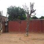 PMA multa pastor por ‘depenar’ árvores em frente de casa
