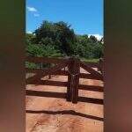 Com acesso fechado, moradores reclamam de ficar ‘ilhados’ há 7 dias em Campo Grande