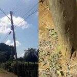Energisa ‘ignora’ poste quebrado que ameaça cair e assusta moradores em Campo Grande