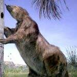 Extinção de preguiças gigantes no Pantanal é tema de questão do 2º dia de Enem