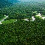 Na COP-26, ONG chama atenção para a ‘situação crítica’ da Amazônia: ‘Emergência’