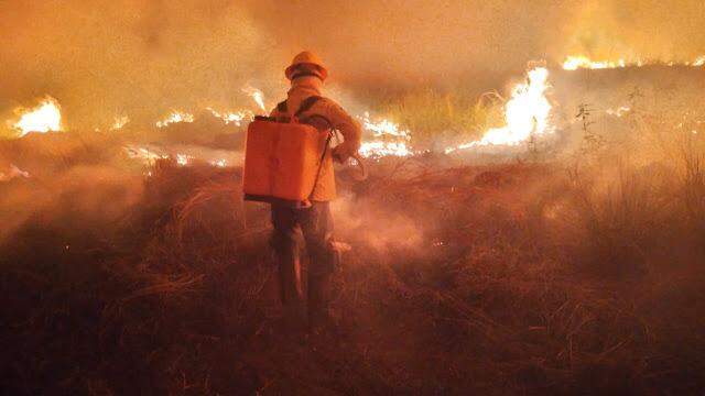 Projeto lança série de podcasts para tirar dúvidas sobre incêndios no Pantanal