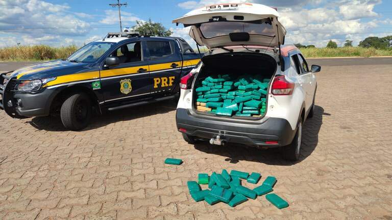 Motorista é preso pela PRF com 246 kg de maconha e diz que receberia R$ 30 mil pelo transporte