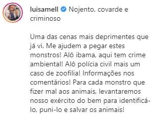 'Nojento, covarde e criminoso', diz Luisa Mell sobre caso de maus-tratos contra papagaio e cachorro em MS