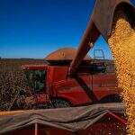Soja e milho podem ter importação sem tarifa